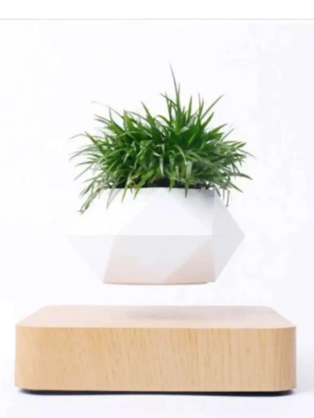 Mini jardin en lévitation avec la base carrée en bois clair. A vous de le composer avec les plantes de votre choix pour en faire un objet agréable au regard.